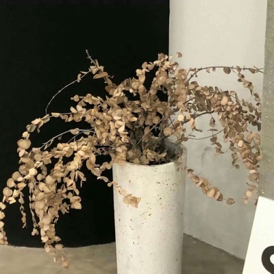 Furry绘画创意灵感兽圈群